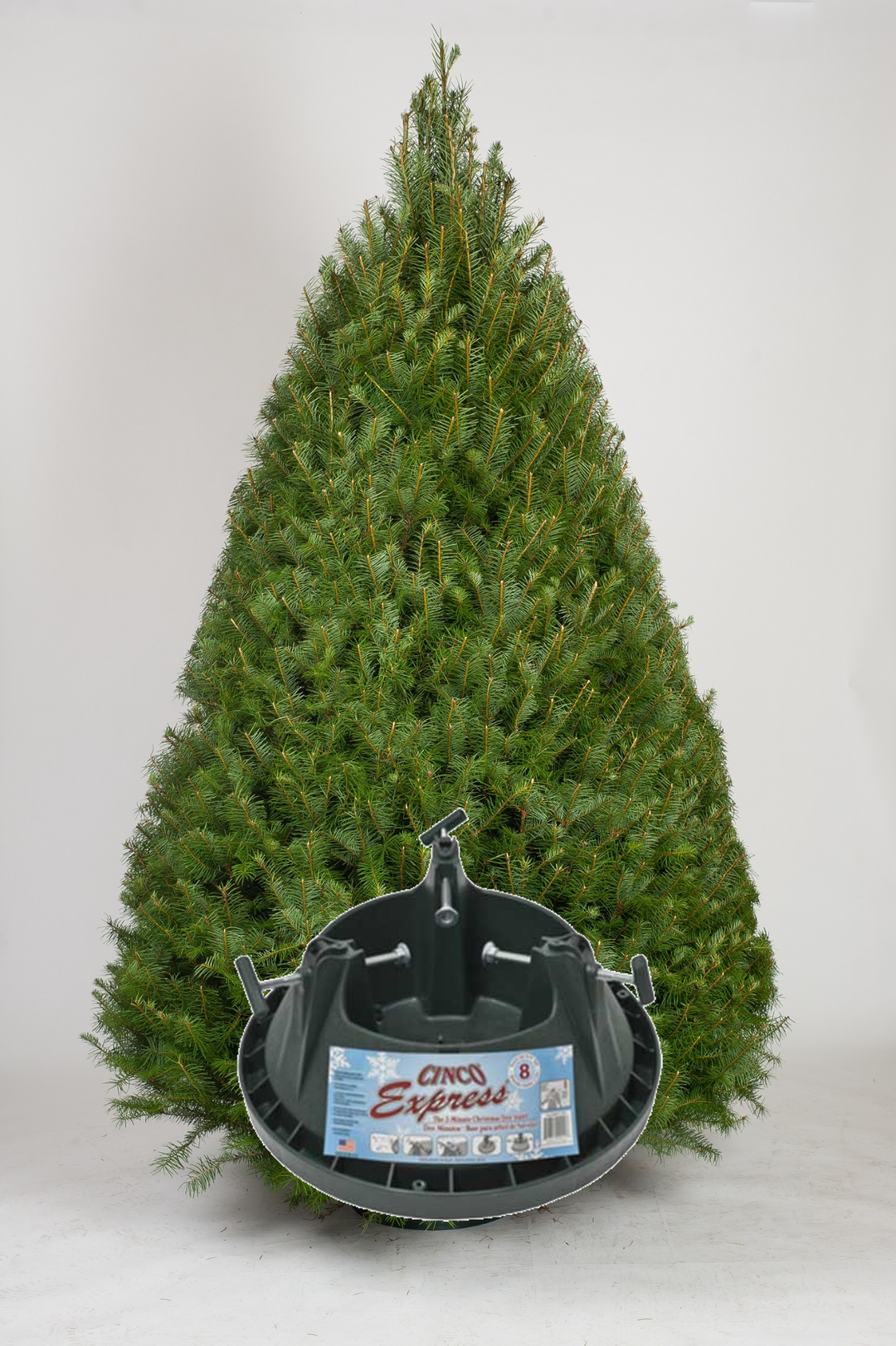Douglas Fir & Stand