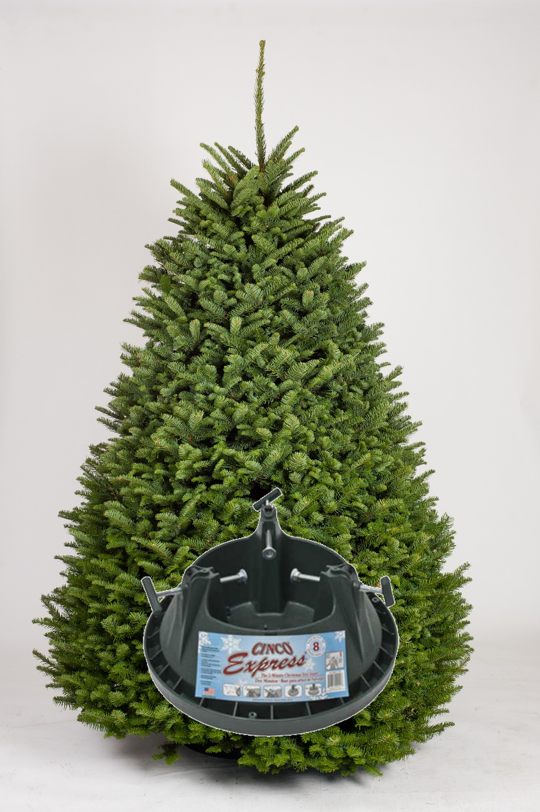 Noble Fir & Stand