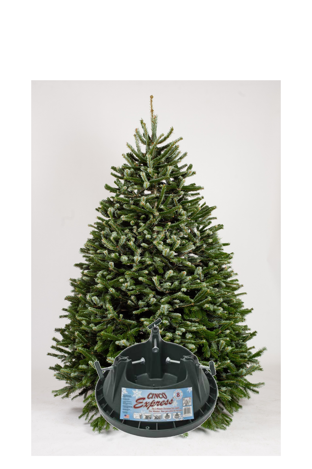 Nordmann Fir & Stand