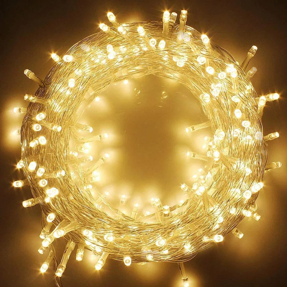 Fairy String LED Lights 20m/200leds 220V