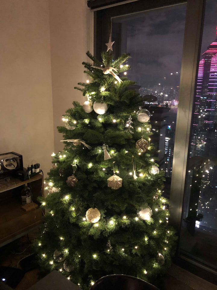 Noble Fir